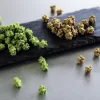 ［福岡縣］八女抹茶 大人的金平糖（抹茶／焙茶）